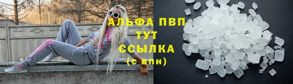 СК Абинск
