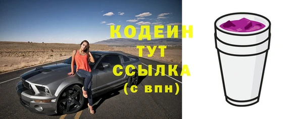 ПСИЛОЦИБИНОВЫЕ ГРИБЫ Гусь-Хрустальный